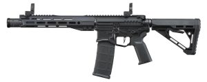R15 MK2 Nebula II noir 10"- Zion Arms